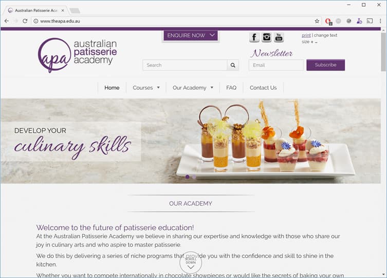 apa homepage